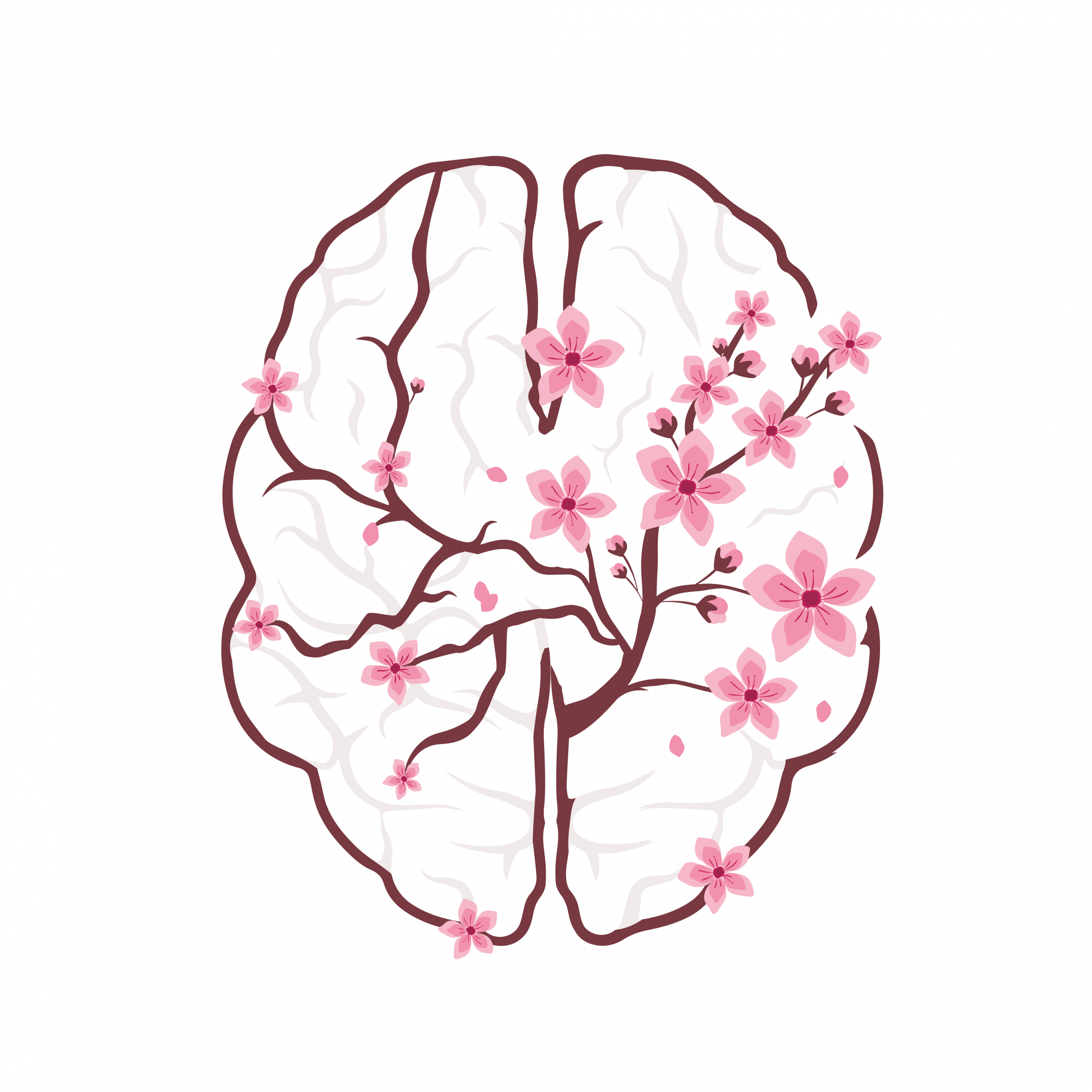 Logo zakiyah